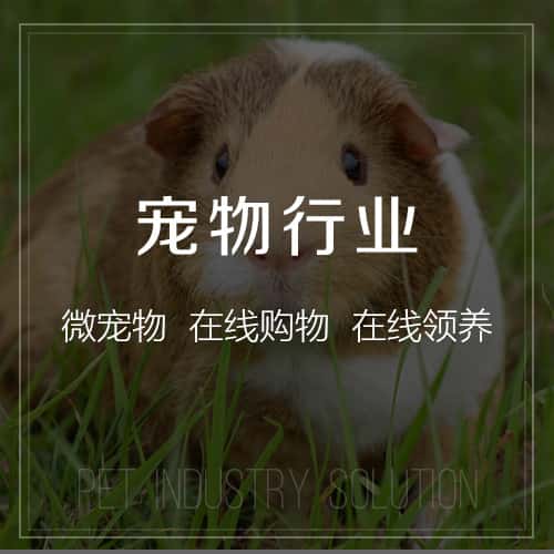 海东宠物