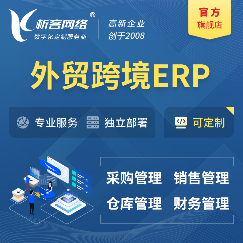 海东外贸跨境ERP软件生产海外仓ERP管理系统